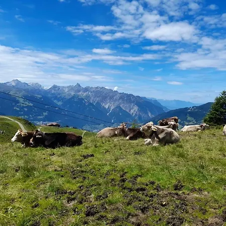 Seppl Stoba Appartement *